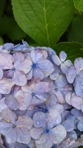 三輪神社の自然