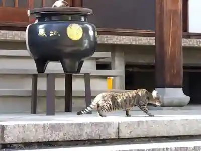 観聴寺(愛知県)