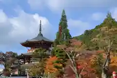 高野山金剛峯寺(和歌山県)