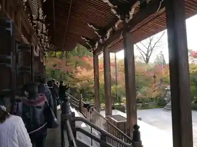 禅林寺（永観堂）の本殿・本堂