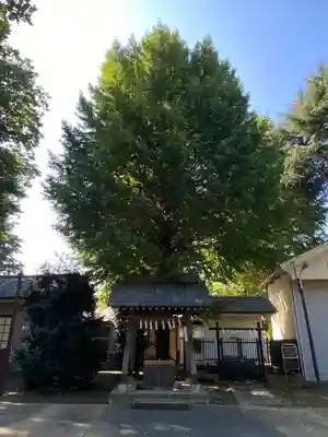小野神社(東京都)