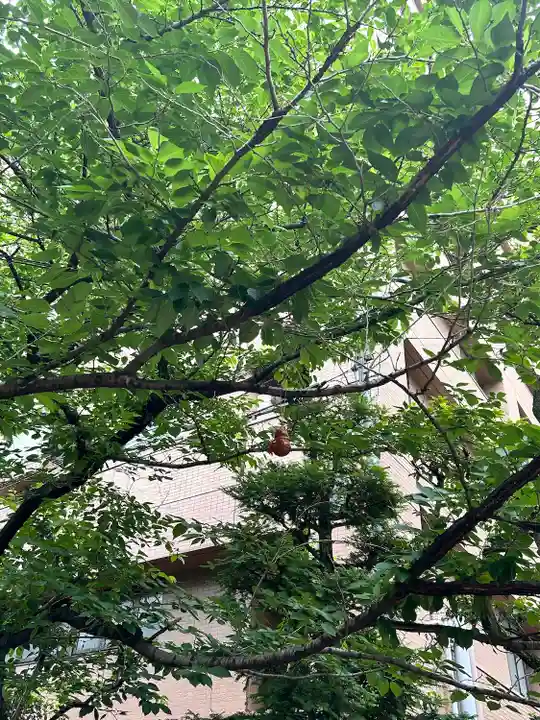 秋葉神社(東京都)