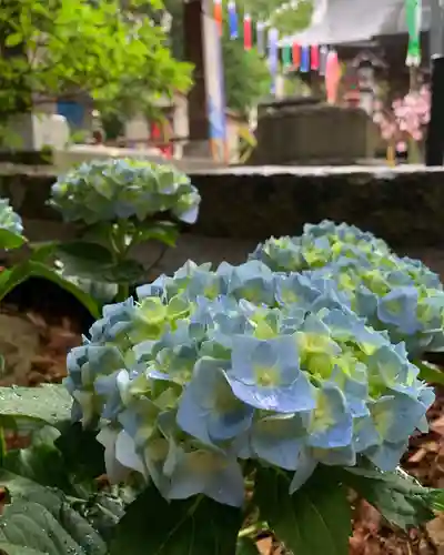 滑川神社 - 仕事と子どもの守り神の自然