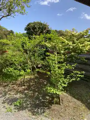 西光寺(神奈川県)