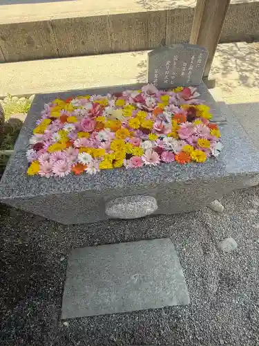 荘内神社の{uncategorized: "未分類", other: "その他", undefined: "問題あり", building: "その他建物", grave: "お墓", sacred_gate: "鳥居", guardian: "狛犬", statue: "像", buddha: "仏像", history: "歴史", nature: "自然", garden: "庭園", animal: "動物", pagoda: "塔", temizu: "手水舎", mountain_gate: "山門・神門", sanctuary: "本殿・本堂", subordinate: "末社・摂社", art: "芸術", scenery: "景色", jizo: "地蔵", ema: "絵馬", goshuin: "御朱印", omikuji: "おみくじ", items: "授与品その他", amulet: "お守り", goshuincho: "御朱印帳", eats: "食事", festival: "お祭り", votive_dance: "神楽", shichigosan: "七五三参", wedding: "結婚式", experience: "体験その他", initially: "初詣", around: "周辺", anti_infection: "感染症対策"}