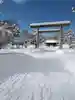 札幌護國神社の鳥居