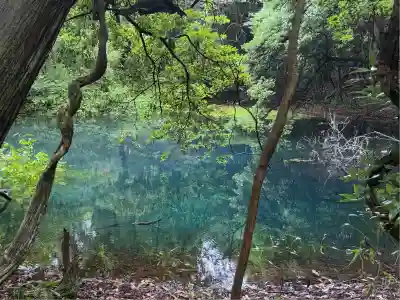 丸池神社(山形県)