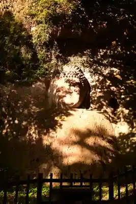 胎蔵寺(大分県)