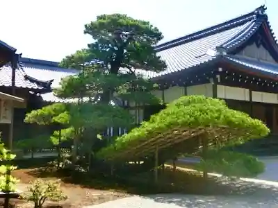 鹿苑寺(金閣寺)の自然