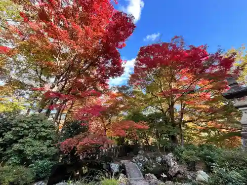 柳谷観音　楊谷寺　奥之院(京都府)
