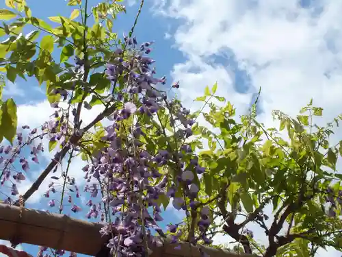 惣社神社の自然