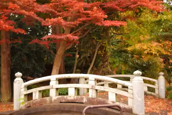 天津神社(新潟県)