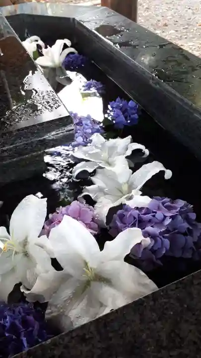 新琴似神社の手水舎