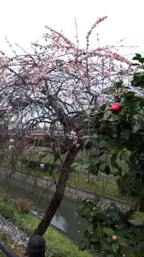 長建寺(京都府)