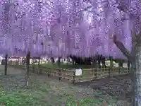 玉敷神社の庭園
