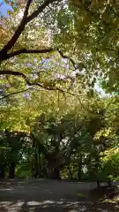 相馬神社(北海道)