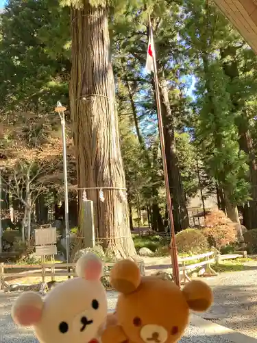 河口浅間神社(山梨県)