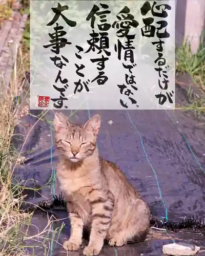 専念寺(大阪府)