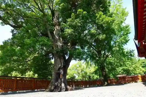 東寺（教王護国寺）の庭園