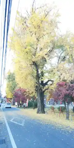 桃太郎神社（栗栖）の景色