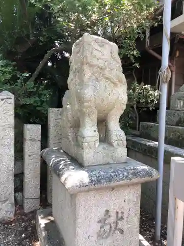 津田八幡神社の狛犬