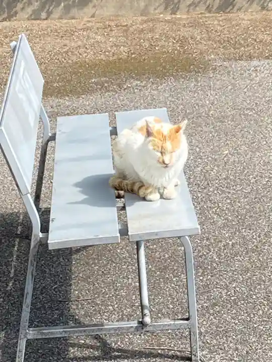 唐澤山神社(栃木県)