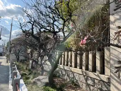 難波熊野神社の自然
