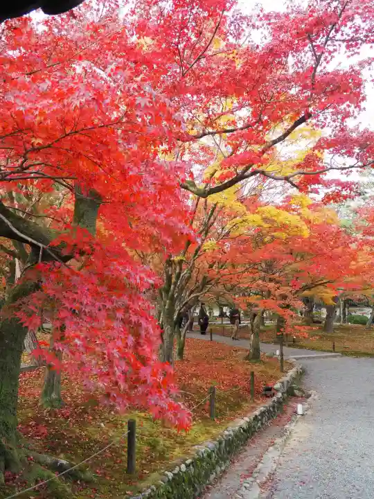 東福禅寺(東福寺)(京都府)