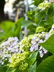 白鳥神社(長野県)