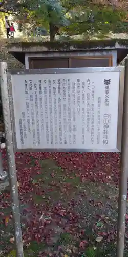 白山神社の建物その他