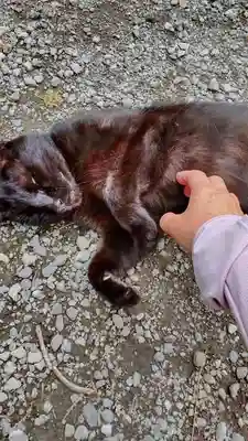 稱名寺(神奈川県)