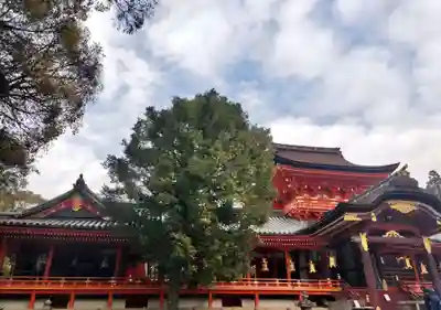 石清水八幡宮(京都府)