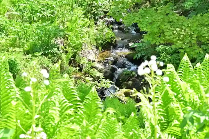 高龍神社 奥之院(新潟県)