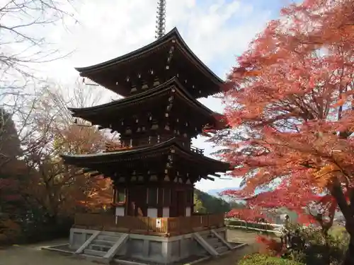 岡寺（龍蓋寺）(奈良県)