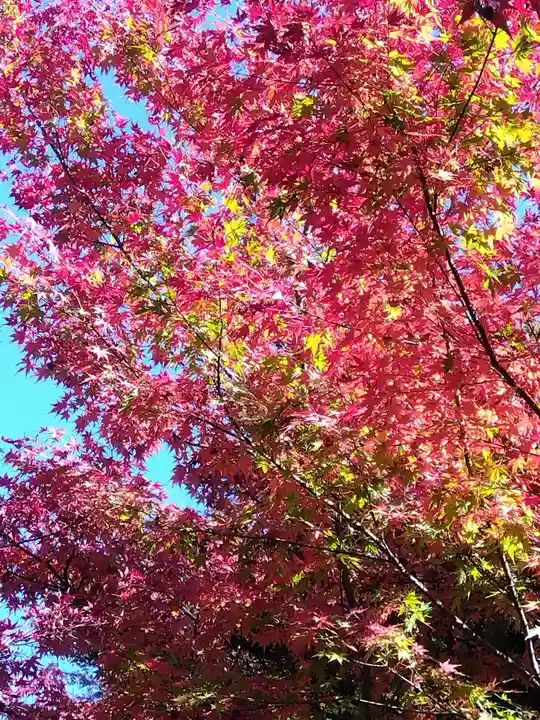 三千院門跡(京都府)