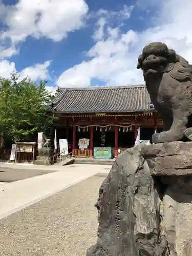 浅草神社の狛犬