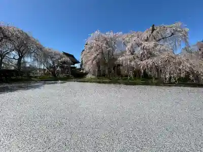 安養寺の{uncategorized: "未分類", other: "その他", undefined: "問題あり", building: "その他建物", grave: "お墓", sacred_gate: "鳥居", guardian: "狛犬", statue: "像", buddha: "仏像", history: "歴史", nature: "自然", garden: "庭園", animal: "動物", pagoda: "塔", temizu: "手水舎", mountain_gate: "山門・神門", sanctuary: "本殿・本堂", subordinate: "末社・摂社", art: "芸術", scenery: "景色", jizo: "地蔵", ema: "絵馬", goshuin: "御朱印", omikuji: "おみくじ", items: "授与品その他", amulet: "お守り", goshuincho: "御朱印帳", eats: "食事", festival: "お祭り", votive_dance: "神楽", shichigosan: "七五三参", wedding: "結婚式", experience: "体験その他", initially: "初詣", around: "周辺", anti_infection: "感染症対策"}