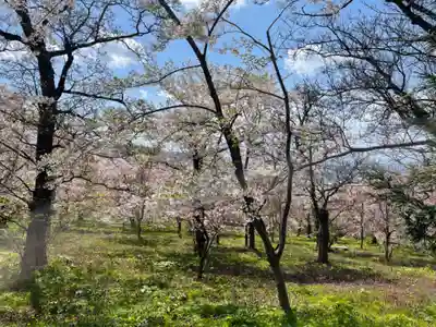 諏訪神社(北海道)