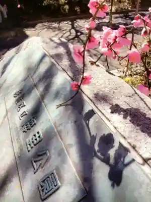 妙法寺(東京都)