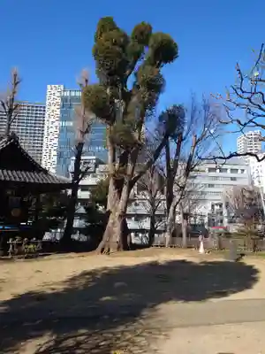西向天神社(東京都)
