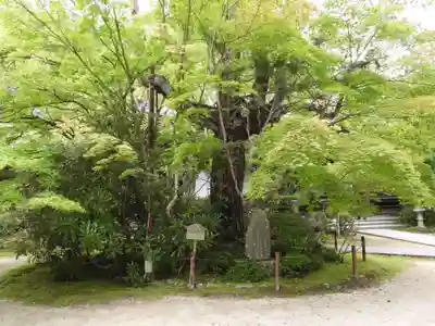 西明寺(京都府)