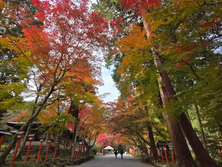 日吉大社(滋賀県)