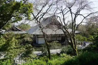 天龍寺の本殿・本堂