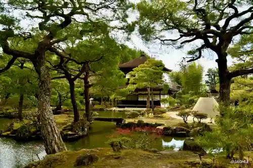慈照寺（慈照禅寺・銀閣寺）の{uncategorized: "未分類", other: "その他", undefined: "問題あり", building: "その他建物", grave: "お墓", sacred_gate: "鳥居", guardian: "狛犬", statue: "像", buddha: "仏像", history: "歴史", nature: "自然", garden: "庭園", animal: "動物", pagoda: "塔", temizu: "手水舎", mountain_gate: "山門・神門", sanctuary: "本殿・本堂", subordinate: "末社・摂社", art: "芸術", scenery: "景色", jizo: "地蔵", ema: "絵馬", goshuin: "御朱印", omikuji: "おみくじ", items: "授与品その他", amulet: "お守り", goshuincho: "御朱印帳", eats: "食事", festival: "お祭り", votive_dance: "神楽", shichigosan: "七五三参", wedding: "結婚式", experience: "体験その他", initially: "初詣", around: "周辺", anti_infection: "感染症対策"}