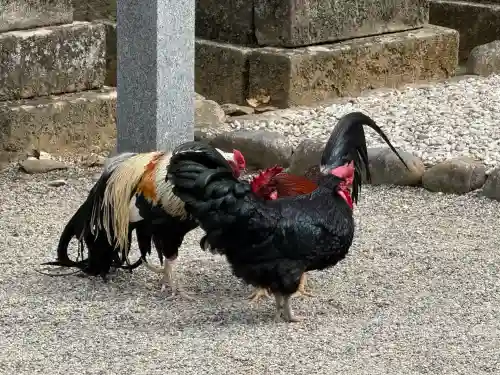 石上神宮(奈良県)