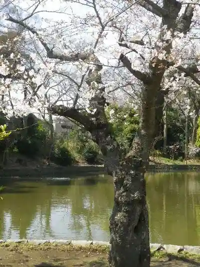 鶴岡八幡宮の自然