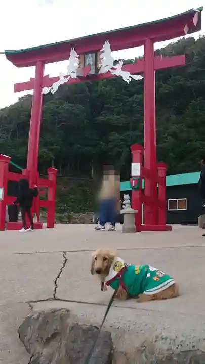 元乃隅神社の{uncategorized: "未分類", other: "その他", undefined: "問題あり", building: "その他建物", grave: "お墓", sacred_gate: "鳥居", guardian: "狛犬", statue: "像", buddha: "仏像", history: "歴史", nature: "自然", garden: "庭園", animal: "動物", pagoda: "塔", temizu: "手水舎", mountain_gate: "山門・神門", sanctuary: "本殿・本堂", subordinate: "末社・摂社", art: "芸術", scenery: "景色", jizo: "地蔵", ema: "絵馬", goshuin: "御朱印", omikuji: "おみくじ", items: "授与品その他", amulet: "お守り", goshuincho: "御朱印帳", eats: "食事", festival: "お祭り", votive_dance: "神楽", shichigosan: "七五三参", wedding: "結婚式", experience: "体験その他", initially: "初詣", around: "周辺", anti_infection: "感染症対策"}