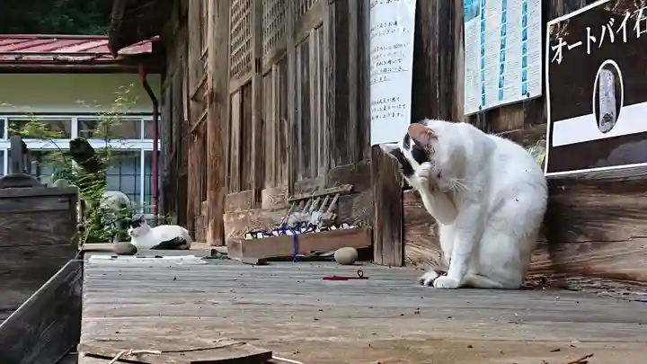 修那羅山安宮神社の動物