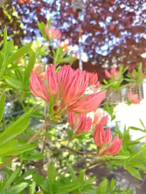 厚別神社(北海道)