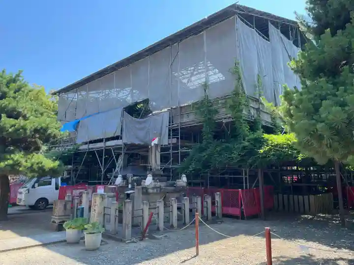 葛井寺(大阪府)